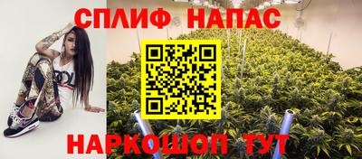 прущие крисы Будённовск