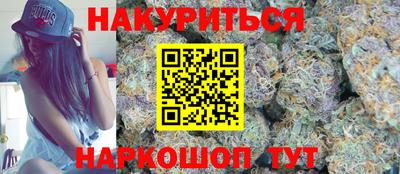 прущие крисы Будённовск