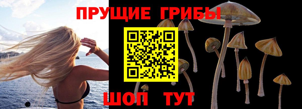 Псилоцибиновые грибы Cubensis Кыштым